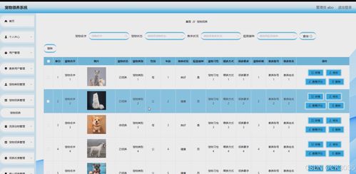 springboot計算機畢業設計寵物領養系統 程序 源碼 數據庫